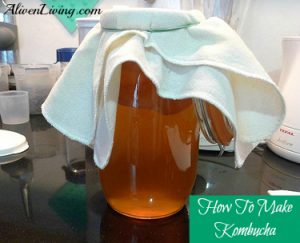 Kombucha